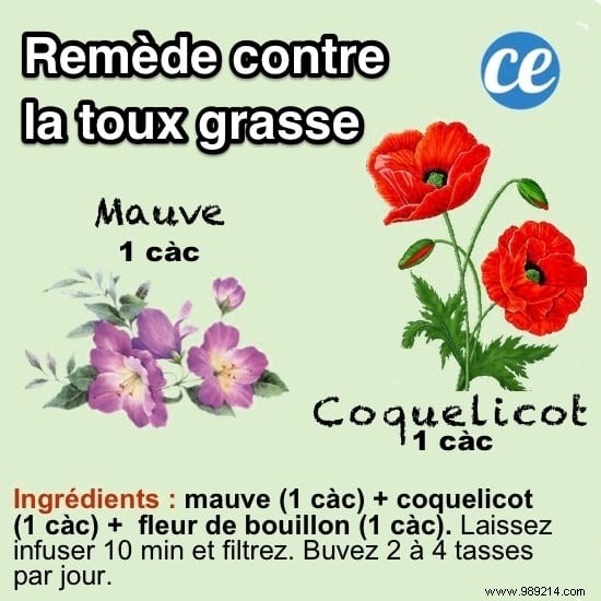 10 Time-Tested Grandmother s Remedies for Everyday Ailments