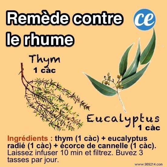 10 Time-Tested Grandmother s Remedies for Everyday Ailments