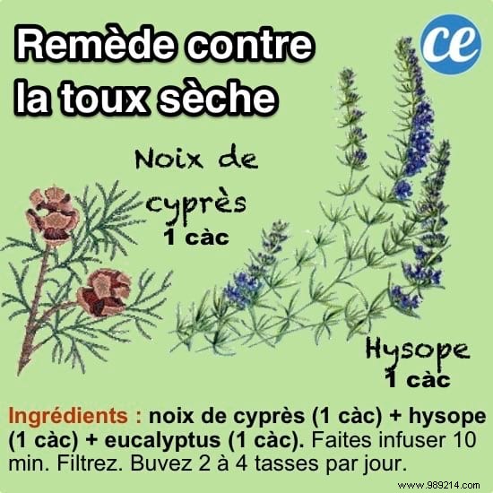 10 Time-Tested Grandmother s Remedies for Everyday Ailments