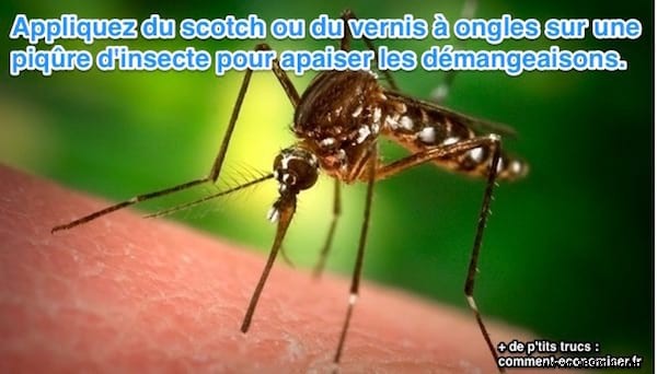 Quick Home Remedy: Soothe Itchy Mosquito Bites with Scotch Tape