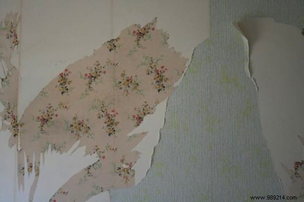 75 Proven Vinegar Uses: Expert Hacks for Cleaning, Health, Home, and More