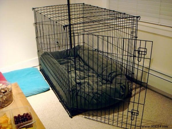 75 Proven Vinegar Uses: Expert Hacks for Cleaning, Health, Home, and More