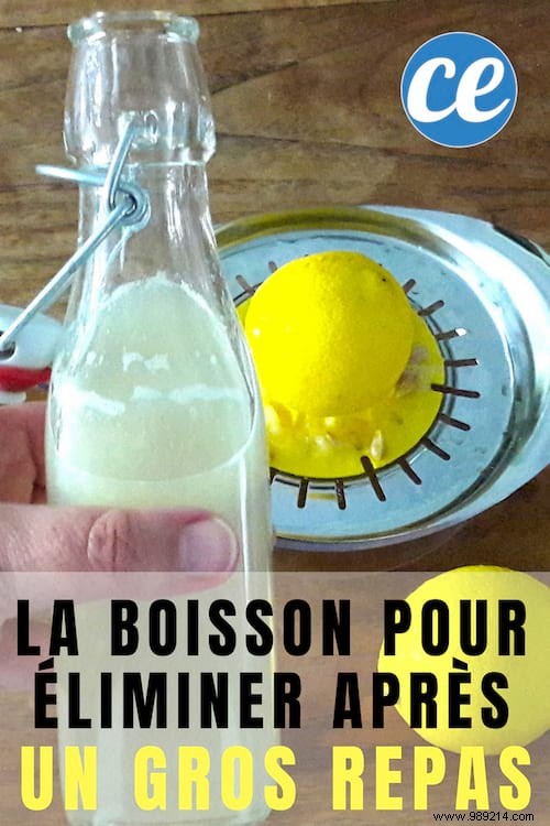 Homemade Lemonade: A Simple, Science-Backed Drink to Aid Digestion After Heavy Meals