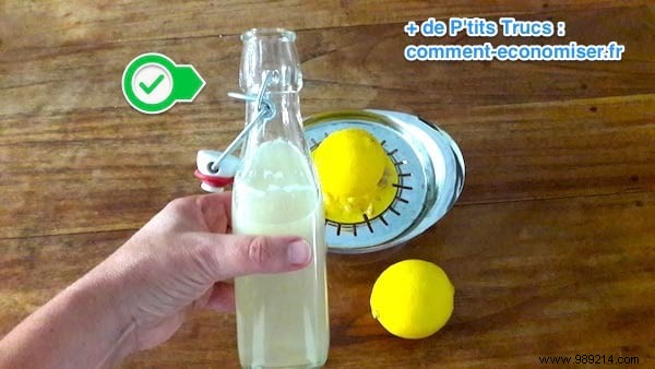 Homemade Lemonade: A Simple, Science-Backed Drink to Aid Digestion After Heavy Meals