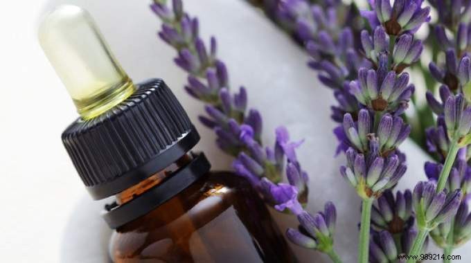 21 Proven Lavender Essential Oil Uses for Skin, Hair, and Everyday Wellness