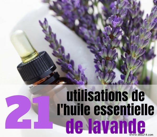 21 Proven Lavender Essential Oil Uses for Skin, Hair, and Everyday Wellness