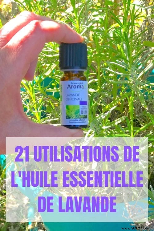 21 Proven Lavender Essential Oil Uses for Skin, Hair, and Everyday Wellness