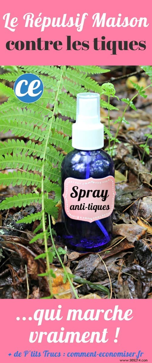 Safely Remove Ticks: The Expert-Recommended Method to Avoid Disease Risk