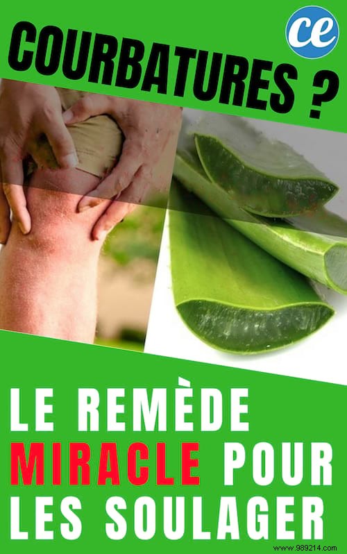 Fast Natural Relief for Muscle Aches: Aloe Vera and Black Sesame Oil Massage