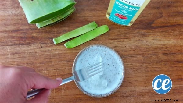 Fade Age Spots Naturally: Grandma s Time-Tested Aloe Vera and Castor Oil Remedy