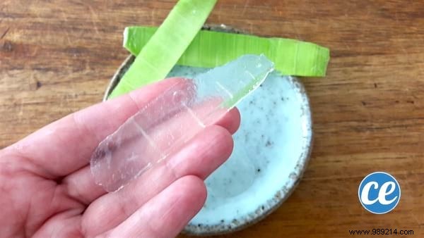 Fade Age Spots Naturally: Grandma s Time-Tested Aloe Vera and Castor Oil Remedy