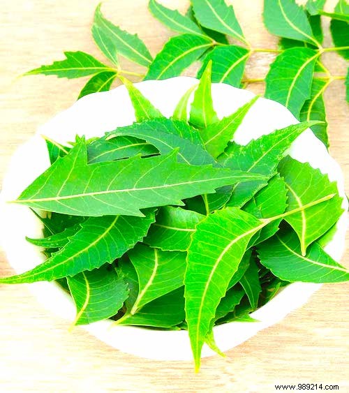 12 Proven Natural Remedies to Eliminate Dandruff Effectively