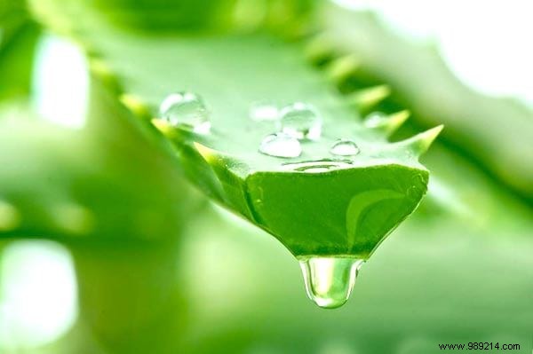 12 Proven Natural Remedies to Eliminate Dandruff Effectively