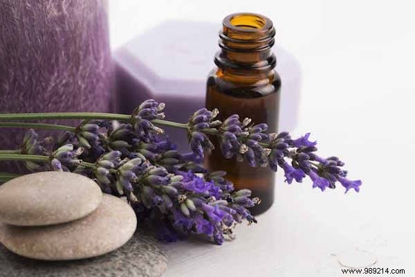Lavender Essential Oil: 14 Proven Uses for Stress Relief, Skin Healing, and More