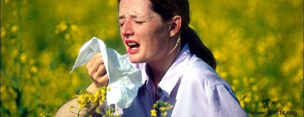 Lavender Essential Oil: 14 Proven Uses for Stress Relief, Skin Healing, and More