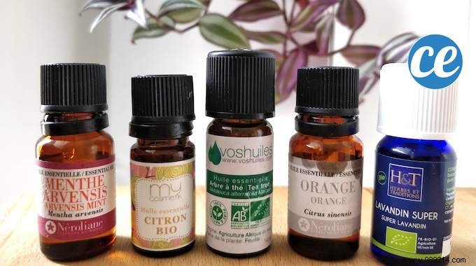 7 Proven Essential Oil Cleaner Recipes for a Spotless, Budget-Friendly Home