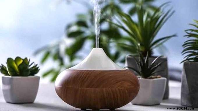 10 Proven Essential Oil Diffuser Blends for Mood, Focus, and Wellness