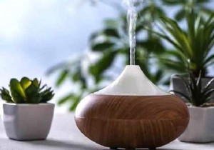 10 Proven Essential Oil Diffuser Blends for Mood, Focus, and Wellness