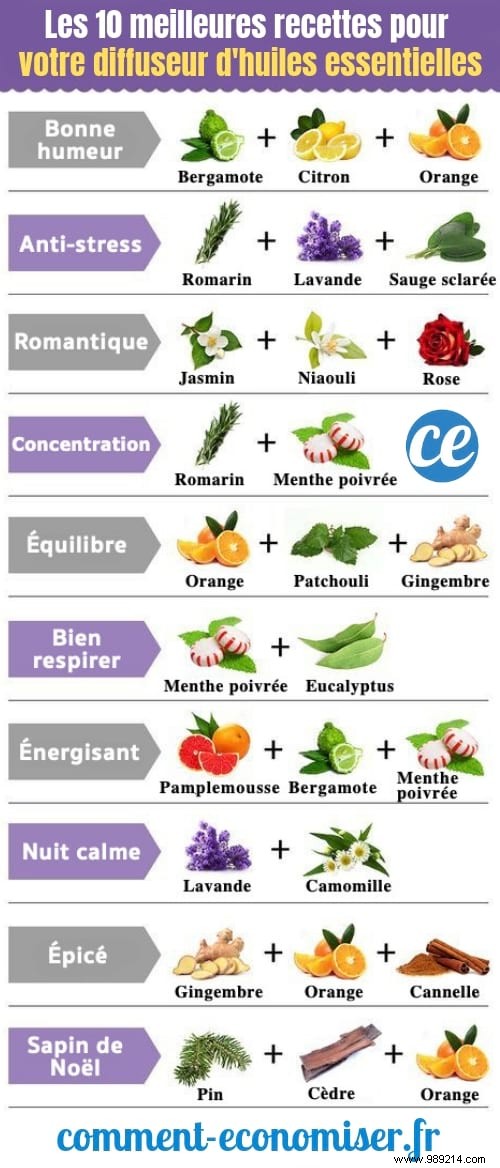 10 Proven Essential Oil Diffuser Blends for Mood, Focus, and Wellness