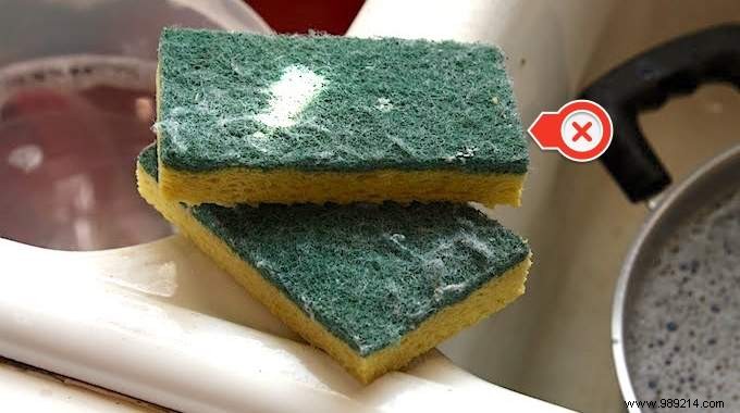 New Study Warns: Microwaving Kitchen Sponges Spreads Dangerous Bacteria