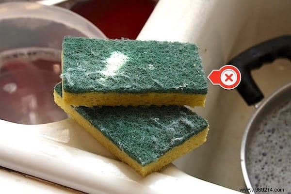 New Study Warns: Microwaving Kitchen Sponges Spreads Dangerous Bacteria