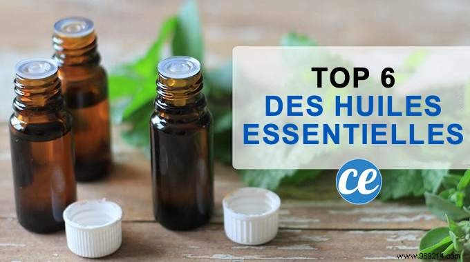 6 Must-Have Essential Oils for Your Home Medicine Cabinet