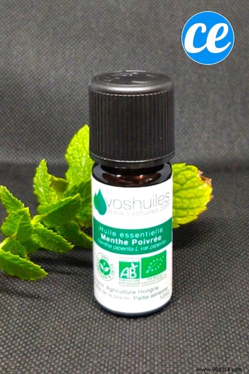 6 Must-Have Essential Oils for Your Home Medicine Cabinet