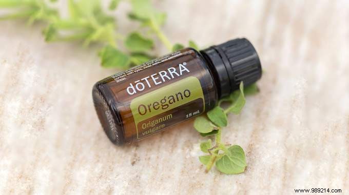 20 Proven Benefits and Uses of Oregano Essential Oil