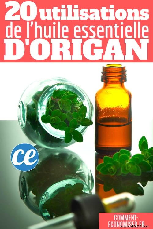 20 Proven Benefits and Uses of Oregano Essential Oil