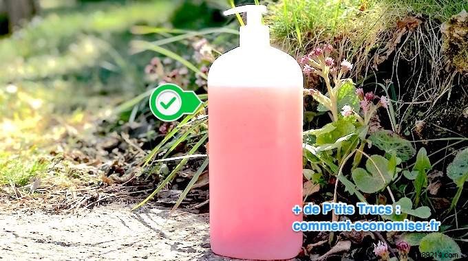 Easy Homemade Shower Gel Recipe: Natural, Affordable, and Gentle on Sensitive Skin