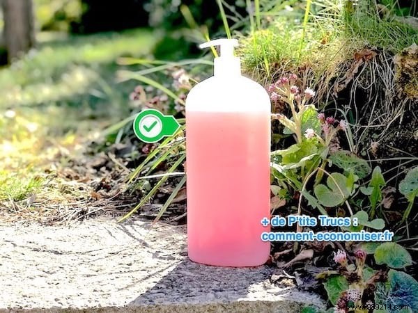 Easy Homemade Shower Gel Recipe: Natural, Affordable, and Gentle on Sensitive Skin