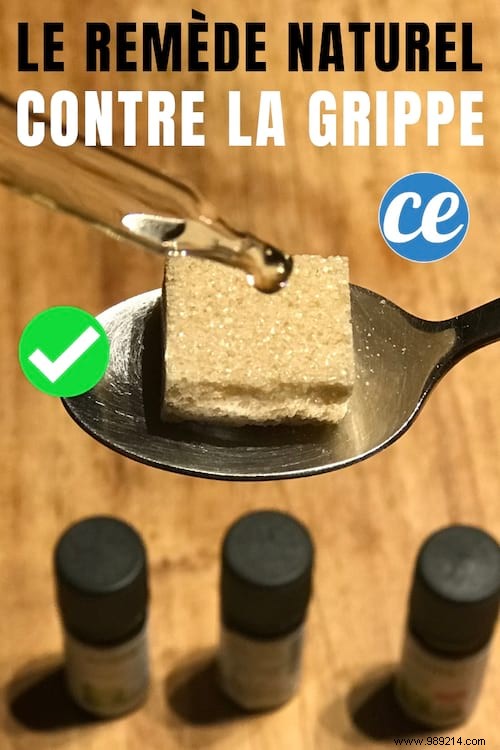 Natural Flu Symptom Relief: A Proven Essential Oil Blend with Saro, Ravintsara, and Laurel