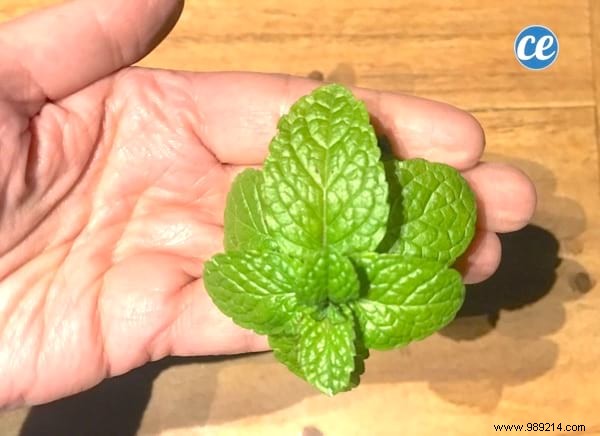 29 Proven Natural Remedies to Clear a Stuffy Nose Quickly