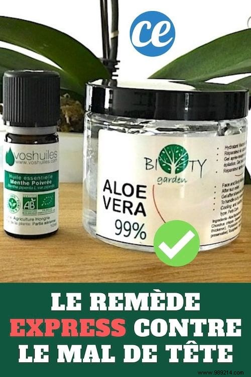 Fast Natural Headache Relief: Aloe Vera and Peppermint Temple Massage