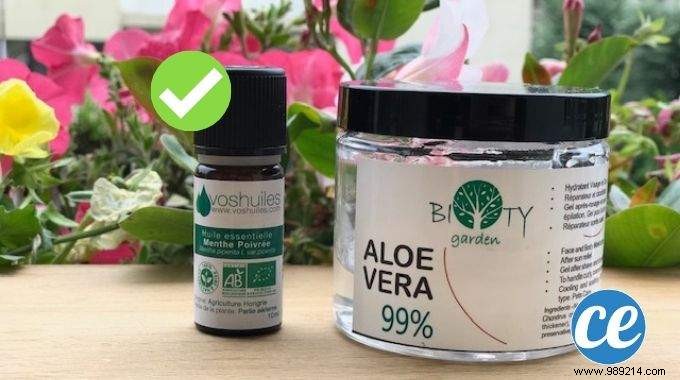 Fast Natural Headache Relief: Aloe Vera and Peppermint Temple Massage