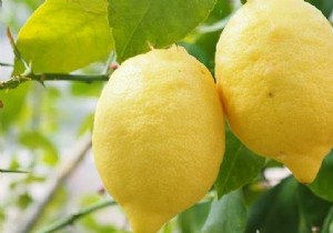 Natural Lemon Remedy: Quick Relief for Hay Fever and Stuffy Nose