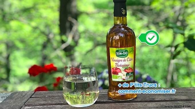 Natural Remedy for High Blood Pressure: Apple Cider Vinegar s Proven Benefits