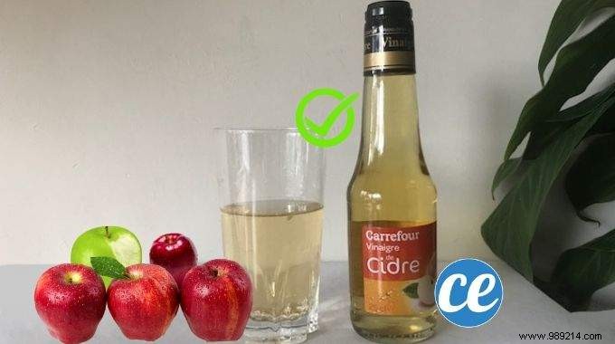 Can Apple Cider Vinegar Help You Lose Weight? A Simple, Proven Daily Ritual