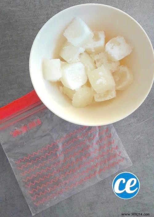 3 Proven Tips to Store Fresh Aloe Vera Gel for Months