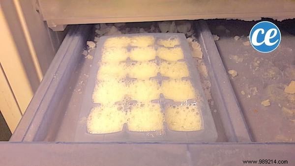 3 Proven Tips to Store Fresh Aloe Vera Gel for Months