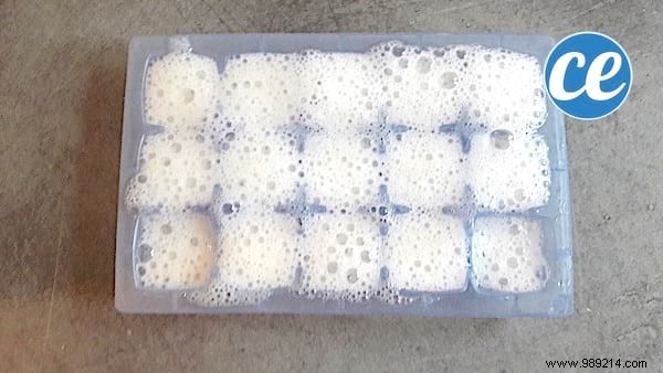 3 Proven Tips to Store Fresh Aloe Vera Gel for Months