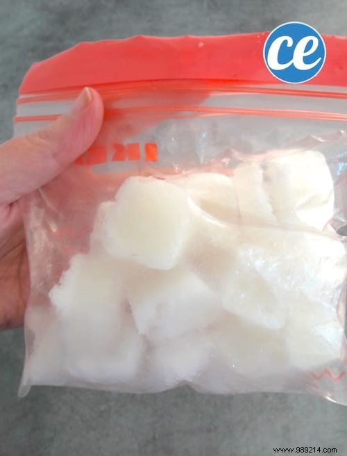 3 Proven Tips to Store Fresh Aloe Vera Gel for Months