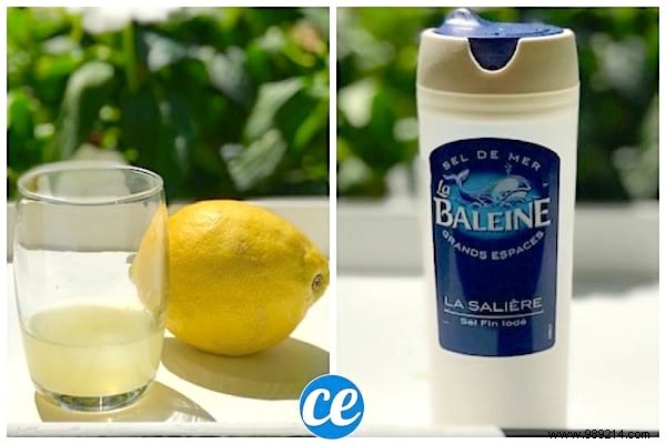 Beautician-Approved DIY Lemon Salt Scrub for Baby-Soft Skin