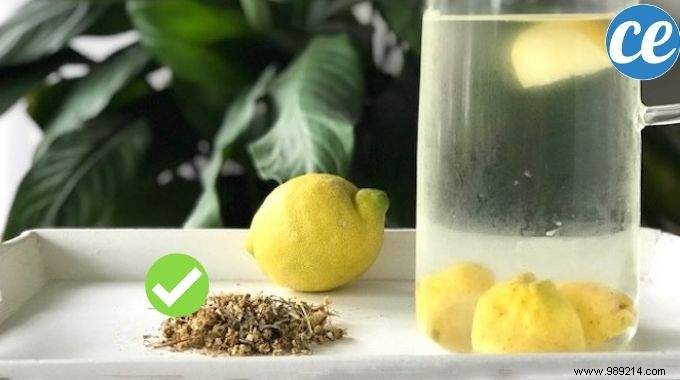 Quick and Effective Natural Remedy for Bloating: Lemon-Chamomile Infusion