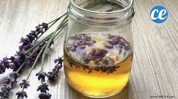 DIY Natural Toning Lotion: Simple Apple Cider Vinegar and Lavender Recipe