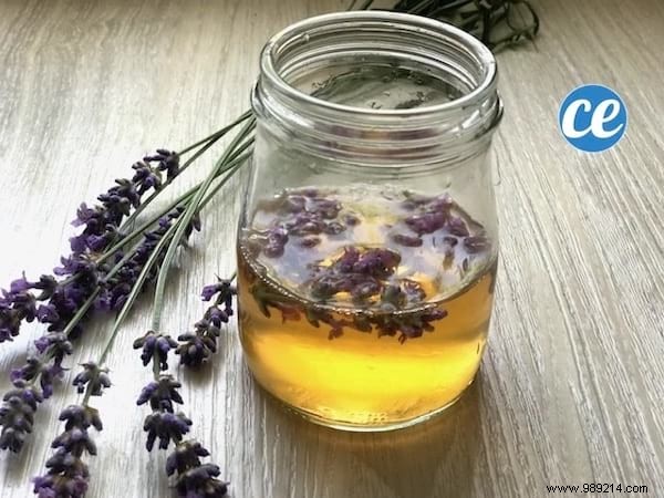 DIY Natural Toning Lotion: Simple Apple Cider Vinegar and Lavender Recipe