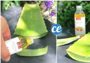 Natural Relief for Heavy Legs: Aloe Vera and Hazelnut Oil Massage