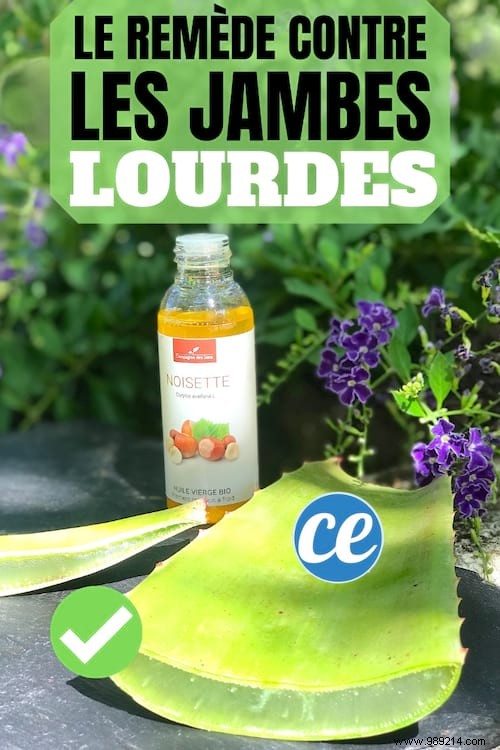 Natural Relief for Heavy Legs: Aloe Vera and Hazelnut Oil Massage