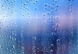 Ideal Home Humidity Level: 40-60% for Optimal Health and Comfort