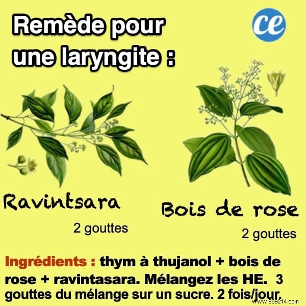 Natural Essential Oil Blend for Fast Laryngitis Relief: A Trusted Home Remedy